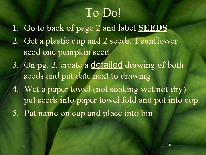 To Do! 1. Go to back of page 2 and label SEEDS 2. Get