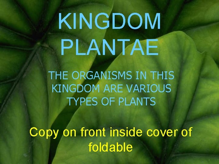 KINGDOM PLANTAE THE ORGANISMS IN THIS KINGDOM ARE VARIOUS TYPES OF PLANTS Copy on