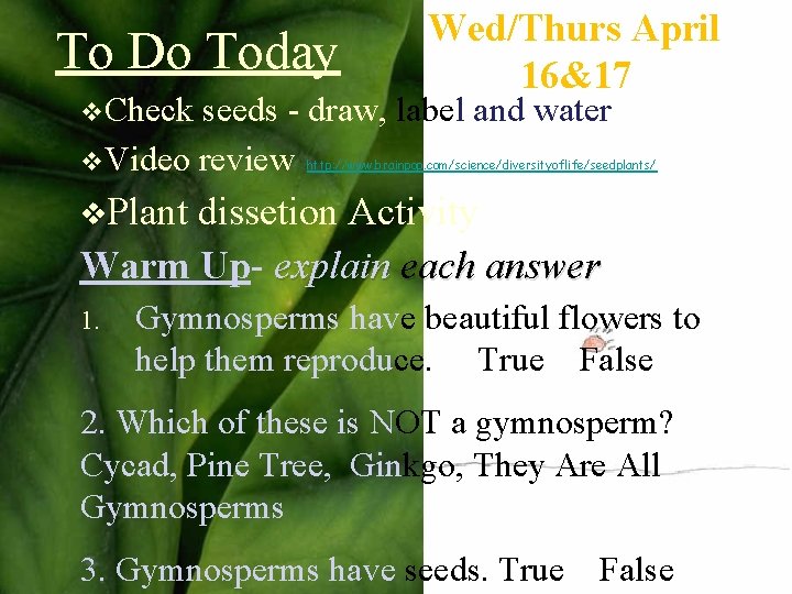 To Do Today v. Check Wed/Thurs April 16&17 seeds - draw, label and water