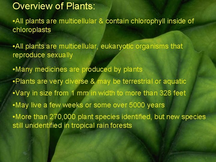 Overview of Plants: • All plants are multicellular & contain chlorophyll inside of chloroplasts