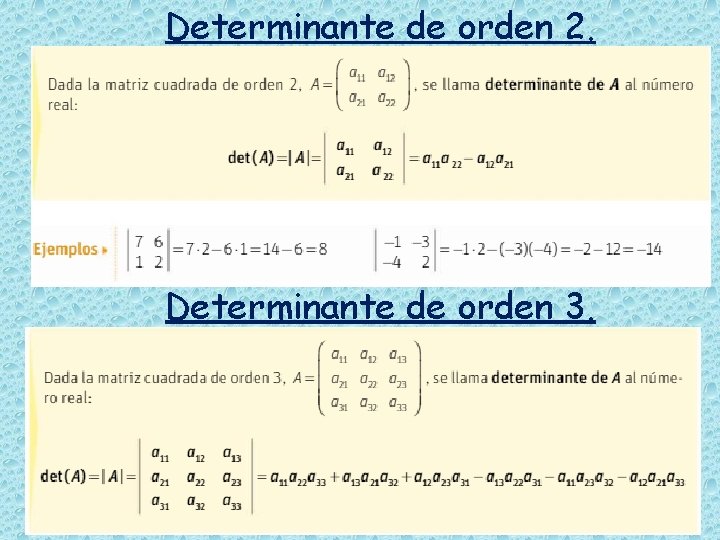 Determinante de orden 2. Determinante de orden 3. 