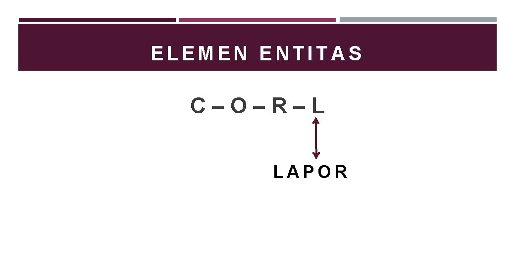 ELEMEN ENTITAS C–O–R–L LAPOR 