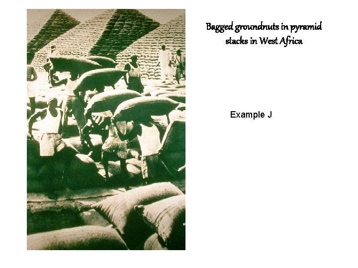 Bagged groundnuts in pyramid stacks in West Africa Example J 