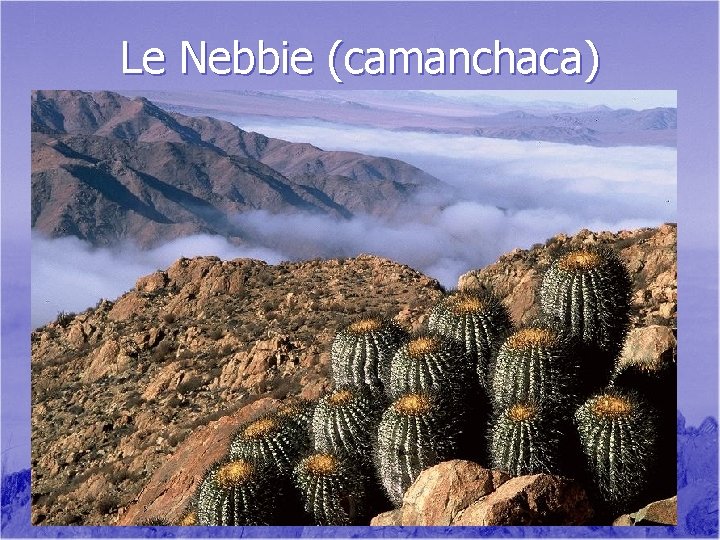 Le Nebbie (camanchaca) 