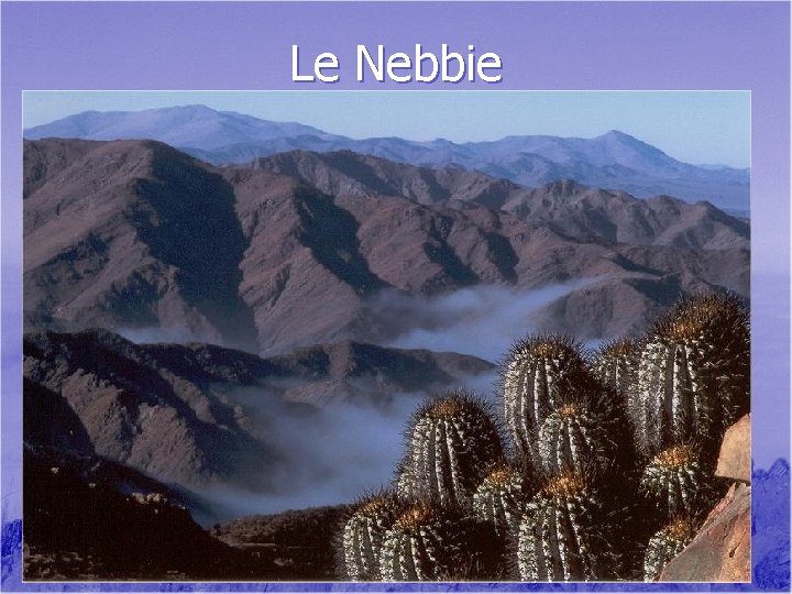 Le Nebbie 