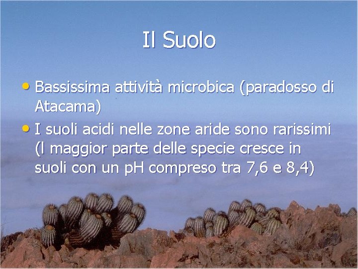 Il Suolo • Bassissima attività microbica (paradosso di Atacama) • I suoli acidi nelle