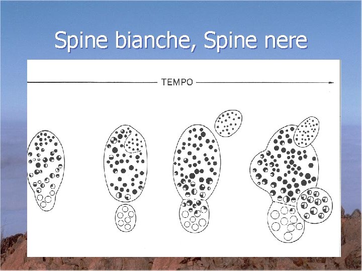 Spine bianche, Spine nere 