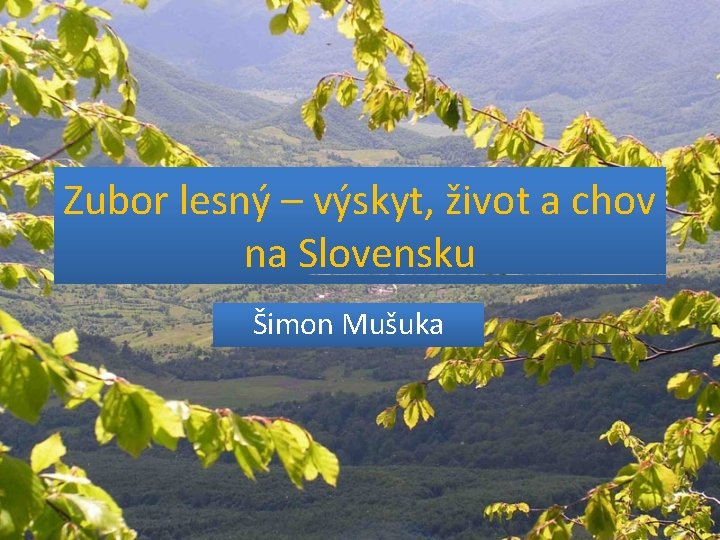 Zubor lesný – výskyt, život a chov na Slovensku Šimon Mušuka 