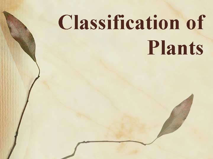 Classification of Plants 