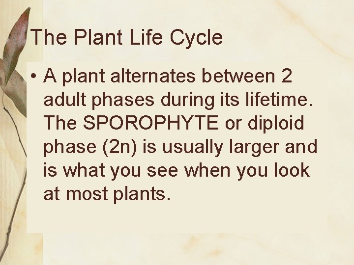 The Plant Life Cycle • A plant alternates between 2 adult phases during its
