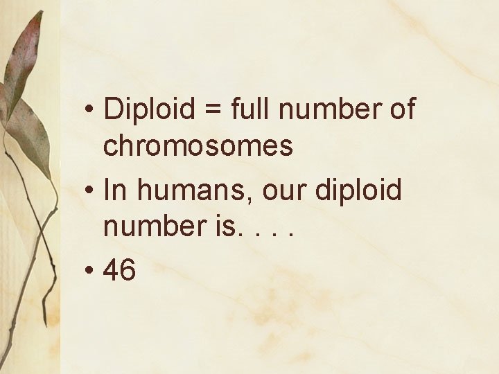  • Diploid = full number of chromosomes • In humans, our diploid number