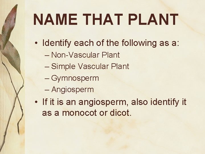 NAME THAT PLANT • Identify each of the following as a: – Non-Vascular Plant