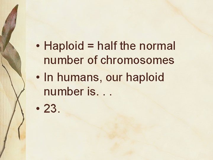  • Haploid = half the normal number of chromosomes • In humans, our