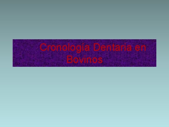 Cronología Dentaria en Bovinos 