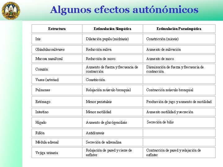 Algunos efectos autónómicos Estructura Estimulación Simpática Estimulación Parasimpática Iris Dilatación pupila (midriasis) Constricción (miosis)