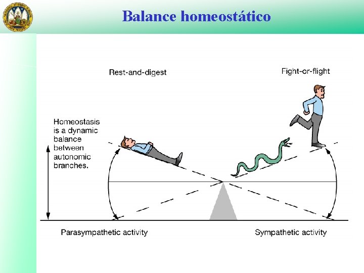 Balance homeostático 