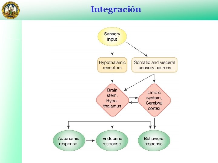 Integración 