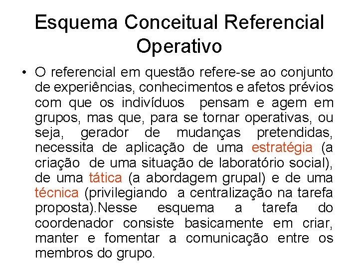 Esquema Conceitual Referencial Operativo • O referencial em questão refere-se ao conjunto de experiências,