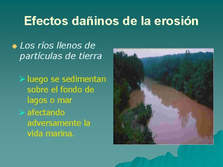 Efectos dañinos de la erosión u Los ríos llenos de partículas de tierra Ø