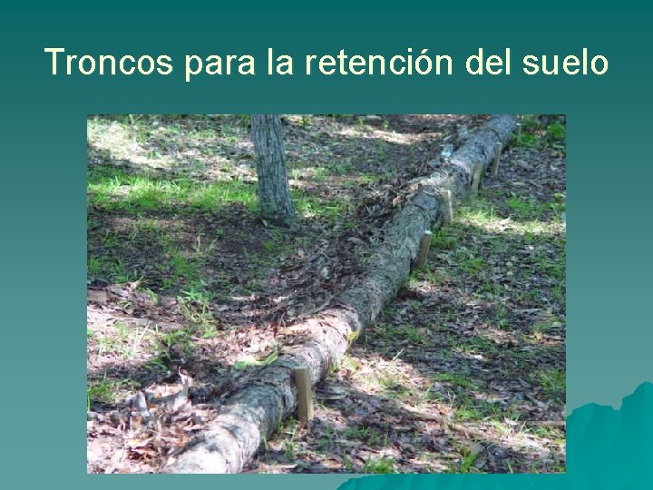 Troncos para la retención del suelo 