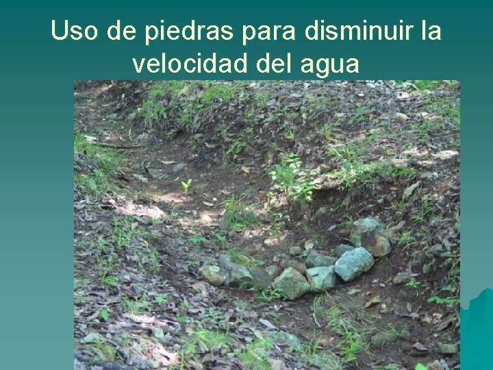 Uso de piedras para disminuir la velocidad del agua 