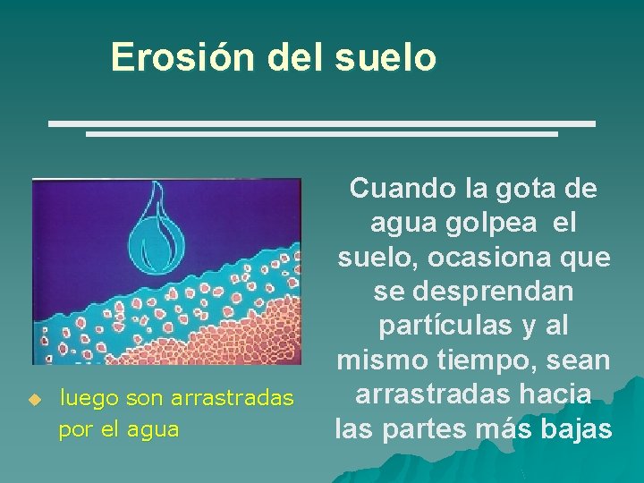 Erosión del suelo u luego son arrastradas por el agua Cuando la gota de