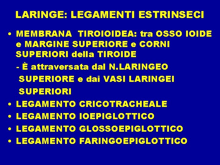 LARINGE: LEGAMENTI ESTRINSECI • MEMBRANA TIROIOIDEA: tra OSSO IOIDE e MARGINE SUPERIORE e CORNI