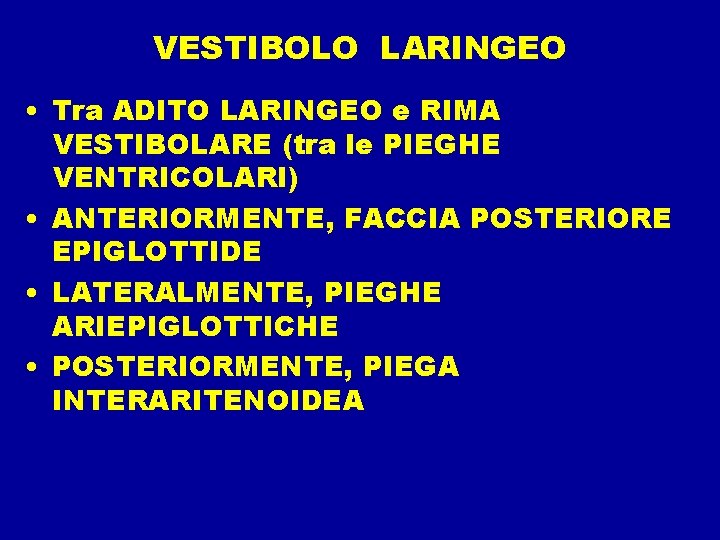 VESTIBOLO LARINGEO • Tra ADITO LARINGEO e RIMA VESTIBOLARE (tra le PIEGHE VENTRICOLARI) •