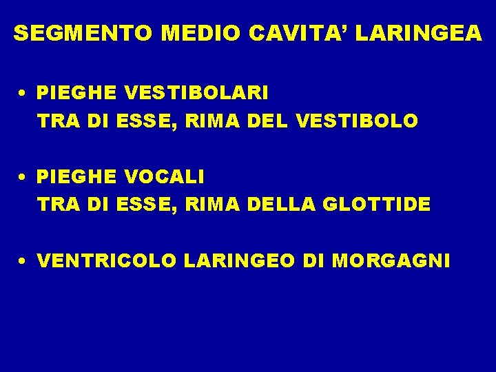 SEGMENTO MEDIO CAVITA’ LARINGEA • PIEGHE VESTIBOLARI TRA DI ESSE, RIMA DEL VESTIBOLO •