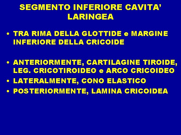 SEGMENTO INFERIORE CAVITA’ LARINGEA • TRA RIMA DELLA GLOTTIDE e MARGINE INFERIORE DELLA CRICOIDE