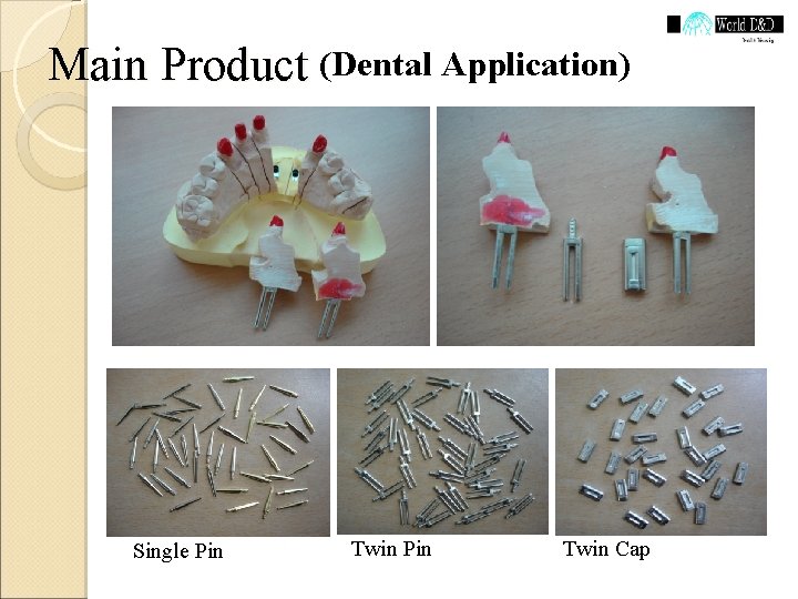 Main Product (Dental Application) Single Pin Twin Cap 