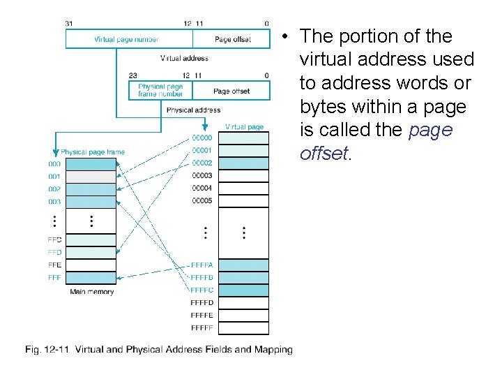  • The portion of the virtual address used to address words or bytes