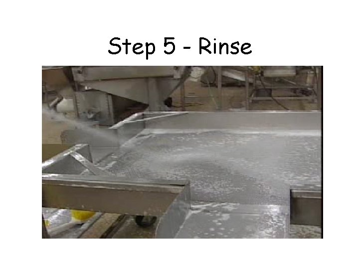 Step 5 - Rinse 
