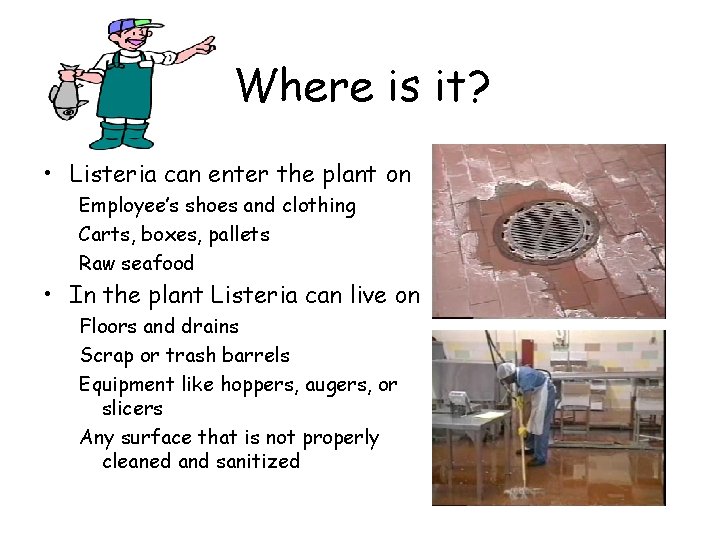 Where is it? • Listeria can enter the plant on Employee’s shoes and clothing