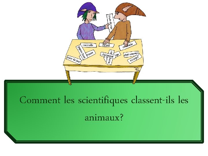 Comment les scientifiques classent-ils les animaux? 