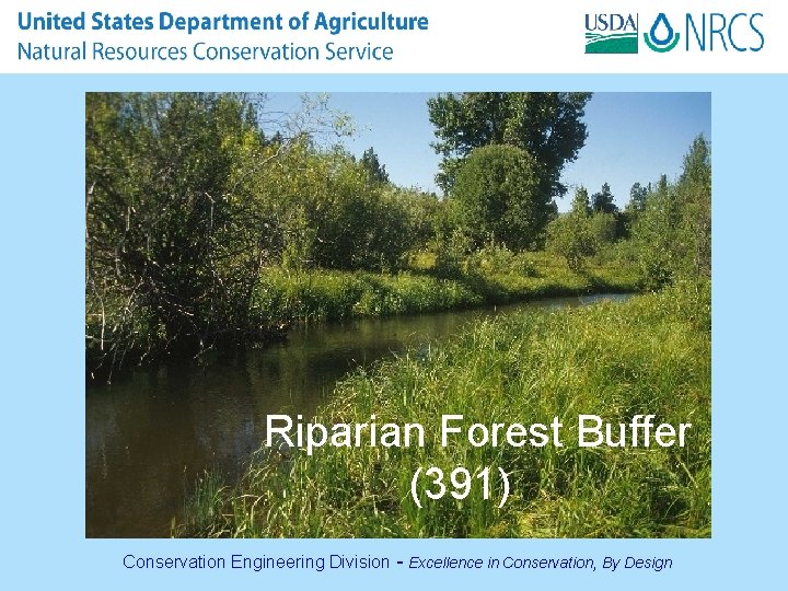 Riparian Forest Buffer (391) Conservation Engineering Division - Excellence in Conservation, By Design 
