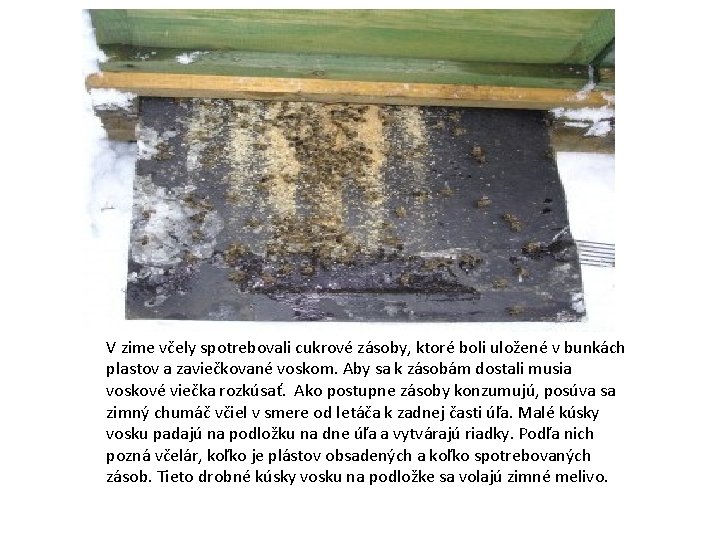 V zime včely spotrebovali cukrové zásoby, ktoré boli uložené v bunkách plastov a zaviečkované