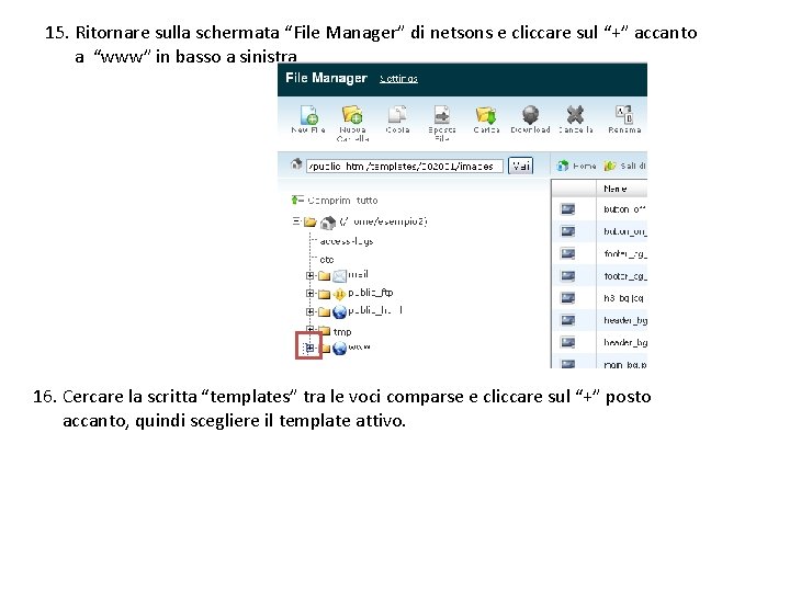 15. Ritornare sulla schermata “File Manager” di netsons e cliccare sul “+” accanto a