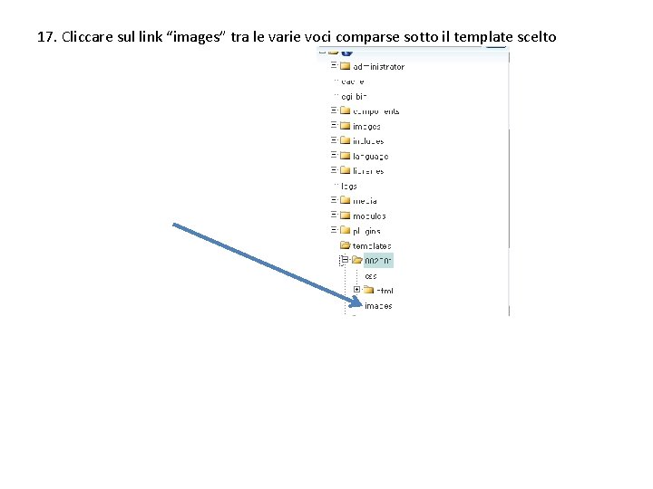 17. Cliccare sul link “images” tra le varie voci comparse sotto il template scelto