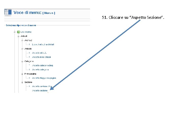 51. Cliccare su “Aspetto Sezione”. 