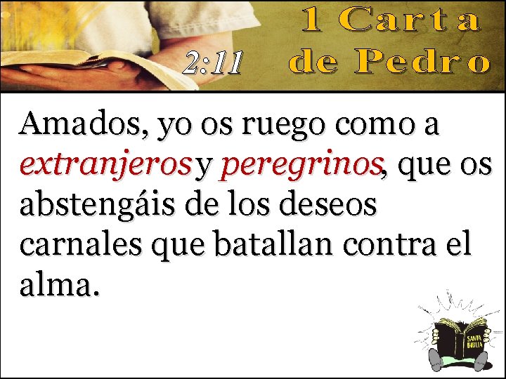 2: 11 Amados, yo os ruego como a extranjeros y peregrinos, que os abstengáis