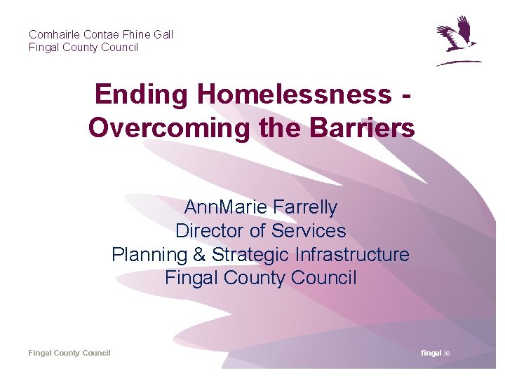 Comhairle Contae Fhine Gall Fingal County Council Ending Homelessness Overcoming the Barriers Ann. Marie