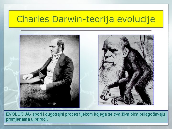 Charles Darwin-teorija evolucije EVOLUCIJA- spori i dugotrajni proces tijekom kojega se sva živa bića