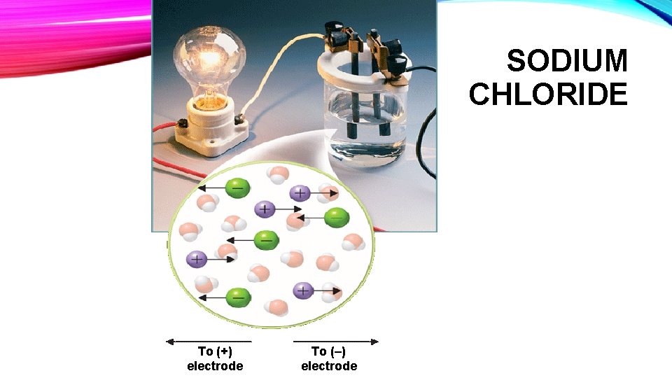 SODIUM CHLORIDE To (+) electrode To (–) electrode SODIUM CHLORIDE To (+) electrode To (–) electrode