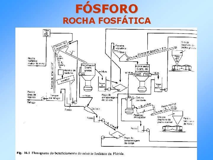 FÓSFORO ROCHA FOSFÁTICA 