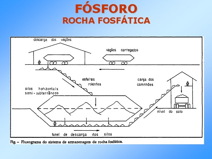 FÓSFORO ROCHA FOSFÁTICA 