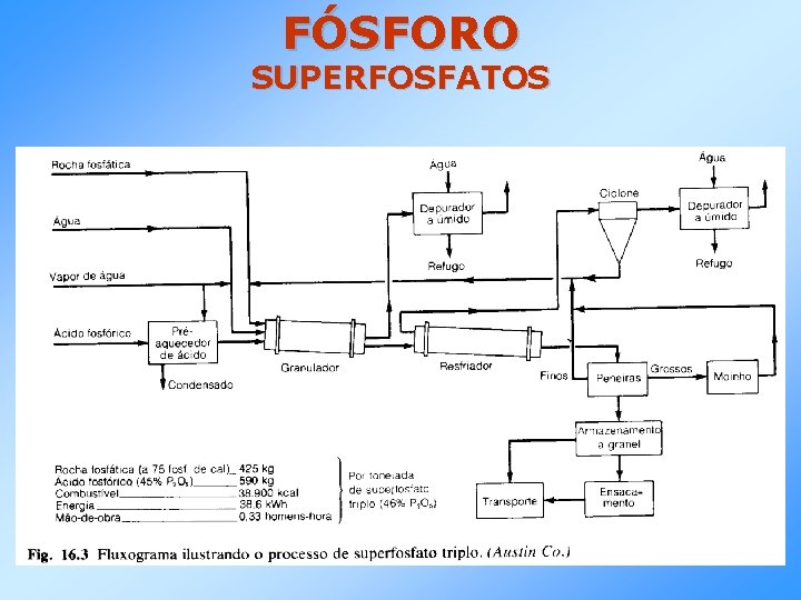 FÓSFORO SUPERFOSFATOS 