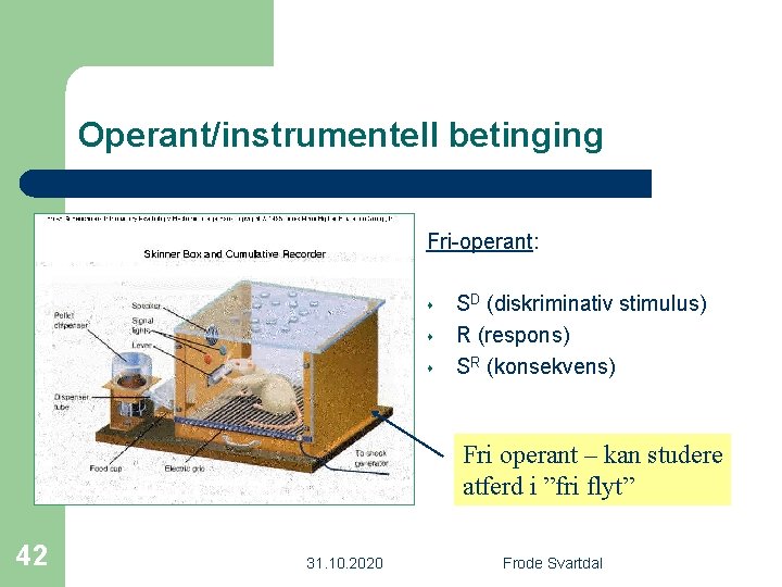 Operant/instrumentell betinging Fri-operant: s s s SD (diskriminativ stimulus) R (respons) SR (konsekvens) Fri