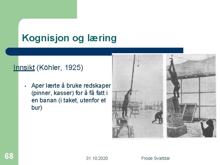 Kognisjon og læring Innsikt (Köhler, 1925) • 68 Aper lærte å bruke redskaper (pinner,