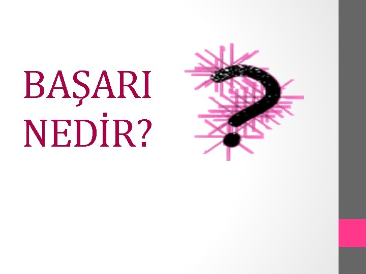BAŞARI NEDİR? 
